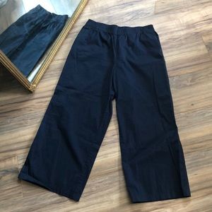 Everlane Wide Leg Easy Chino